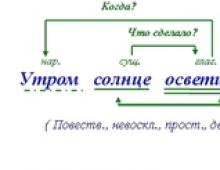 Какие бывают виды предложений в русском языке: примеры и характеристика