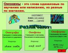 Примеры омофонов в русском языке